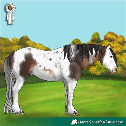 Horse Color:Brown Splash Tobiano 
