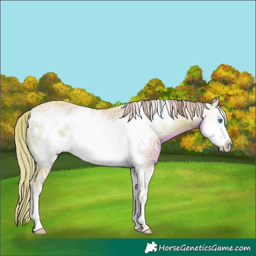 Horse Color:Watercolor Chocolate Palomino Ice Roan Onyx Frame 