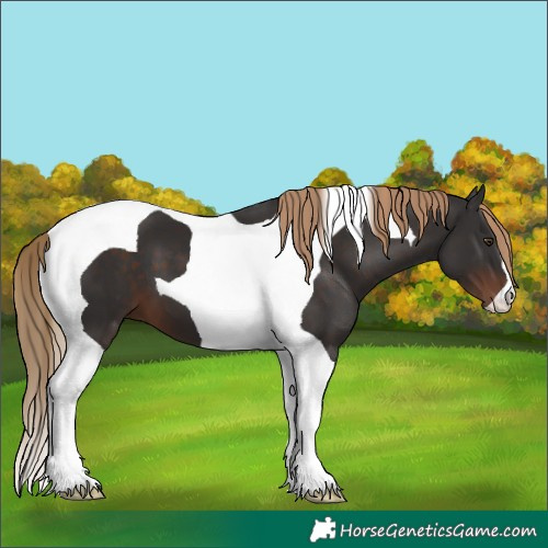 Horse Color:Liver Chestnut Tobiano 