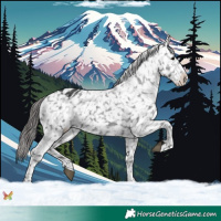 Horse Color:Black Snowflake Varnish 