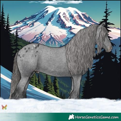 Horse Color:Black Varnish 