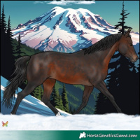 Horse Color:Brown 