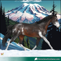 Horse Color:Brown Sabino 