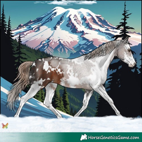 Horse Color:White Spotted Liver Chestnut Sabino 
