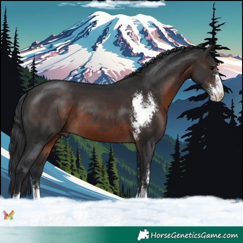 Horse Color:Brown Sabino 