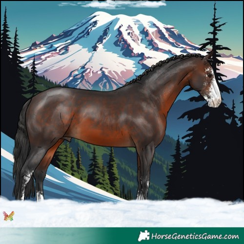 Horse Color:Brown Sabino 