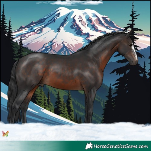 Horse Color:Brown Sabino 