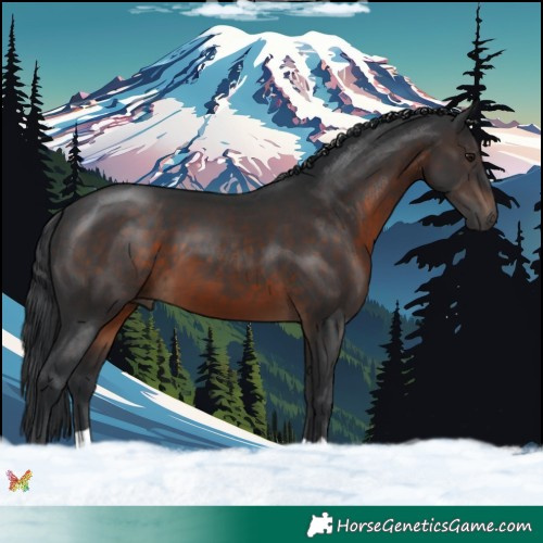 Horse Color:Brown 