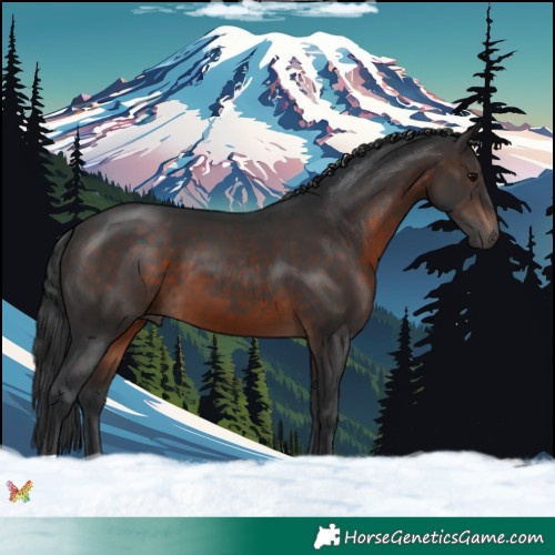 Horse Color:Brown 