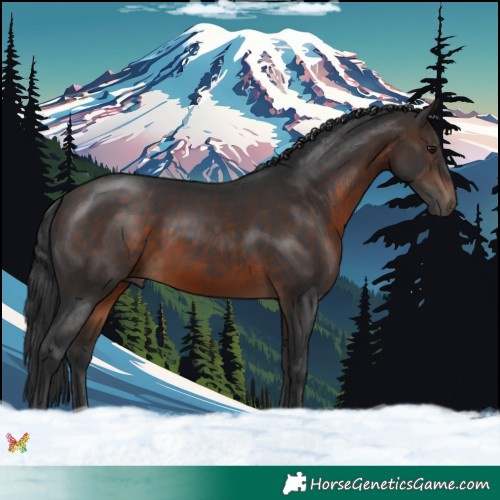 Horse Color:Brown 