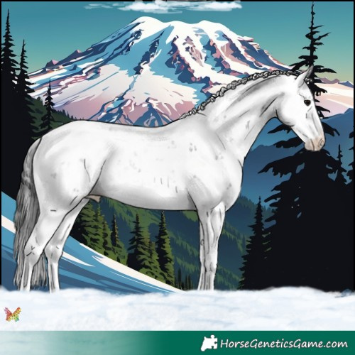 Horse Color:Black Sabino 