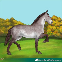 Horse Color:Chocolate Brown Chinchilla 