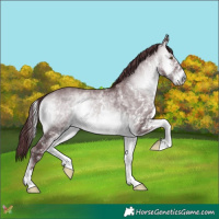 Horse Color:White Spotted Chocolate Brown Chinchilla Onyx 