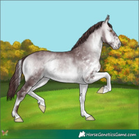 Horse Color:White Spotted Chocolate Brown Chinchilla Onyx 