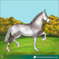 Horse Color:Chocolate Silver Bay Chinchilla Onyx 