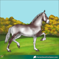 Horse Color:Chocolate Silver Brown Chinchilla Onyx 