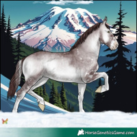 Horse Color:White Spotted Chocolate Brown Chinchilla Onyx 