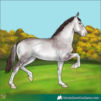 Horse Color:White Spotted Chocolate Brown Chinchilla Onyx 