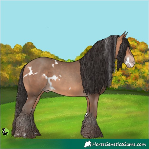 Horse Color:White Spotted Sable Champagne 