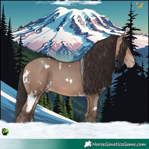 Horse Color:White Spotted Sable Champagne 