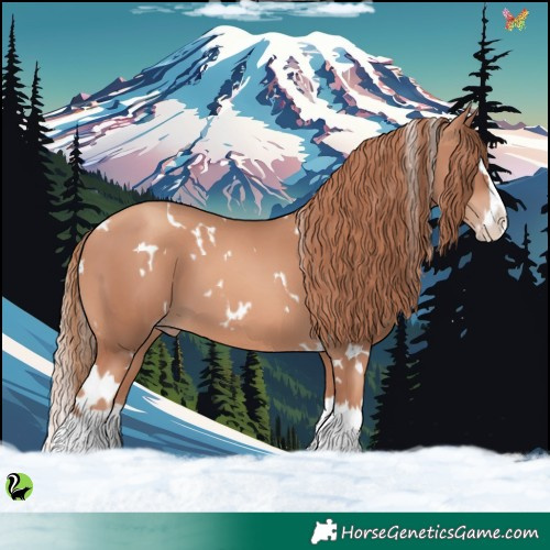 Horse Color:White Spotted Gold Champagne Splash 
