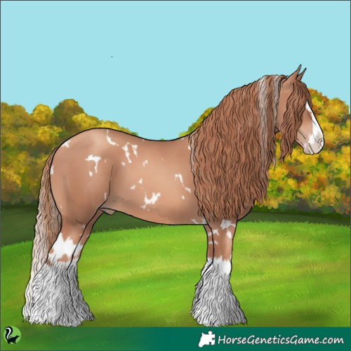Horse Color:White Spotted Gold Champagne Splash 