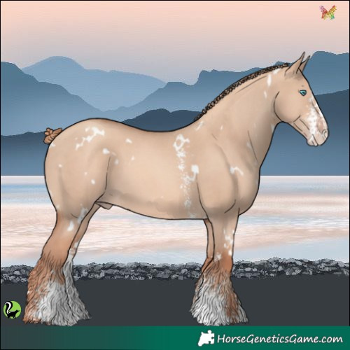 Horse Color:White Spotted Gold Champagne Dun Sabino 