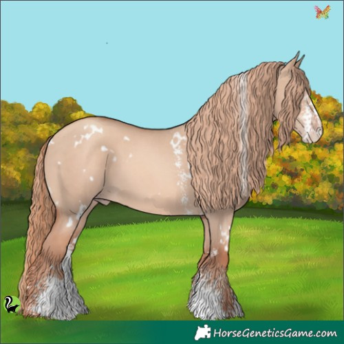 Horse Color:White Spotted Gold Champagne Dun Sabino 