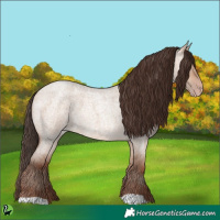 Horse Color:Amber Champagne Roan Dun 