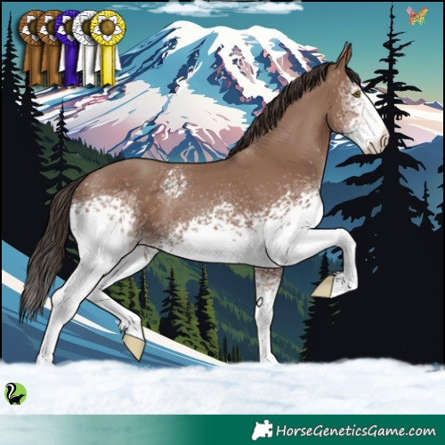 Horse Color:White Spotted Classic Champagne 
