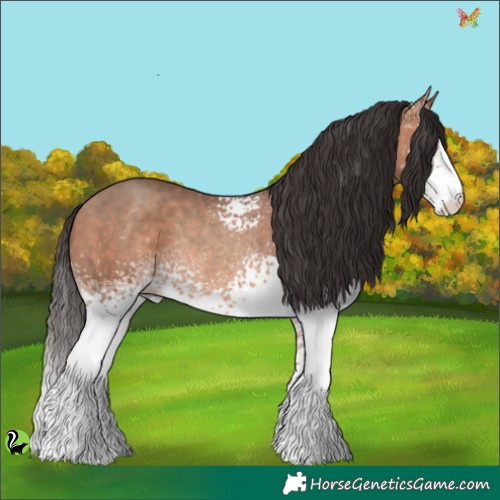 Horse Color:White Spotted Sable Champagne Rabicano 