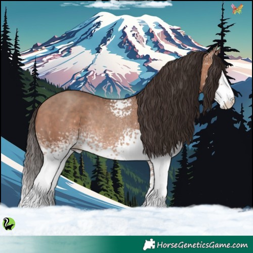 Horse Color:White Spotted Sable Champagne Rabicano 