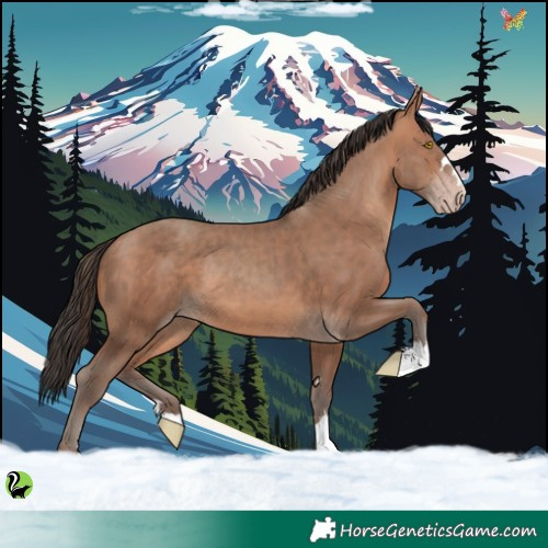 Horse Color:Sable Champagne 