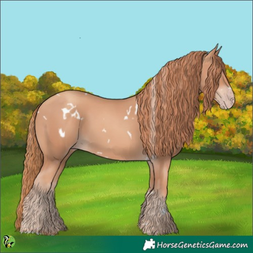 Horse Color:White Spotted Gold Champagne 