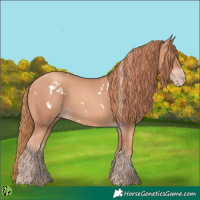 Horse Color:White Spotted Gold Champagne 