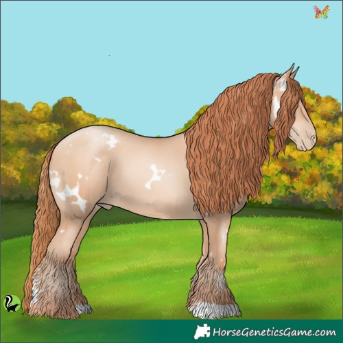 Horse Color:White Spotted Amber Champagne Pearl 