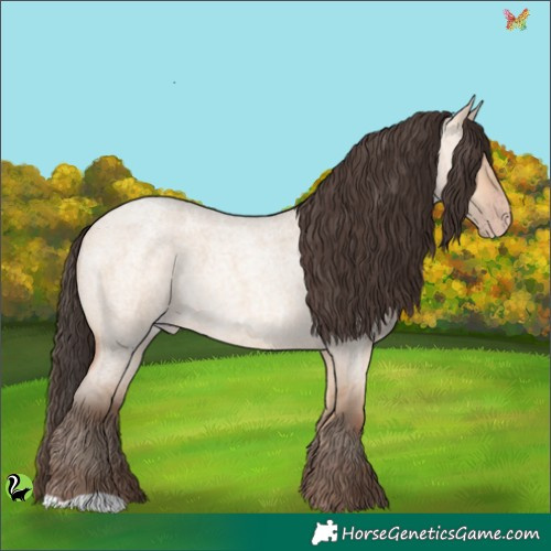 Horse Color:Amber Champagne Roan Dun 