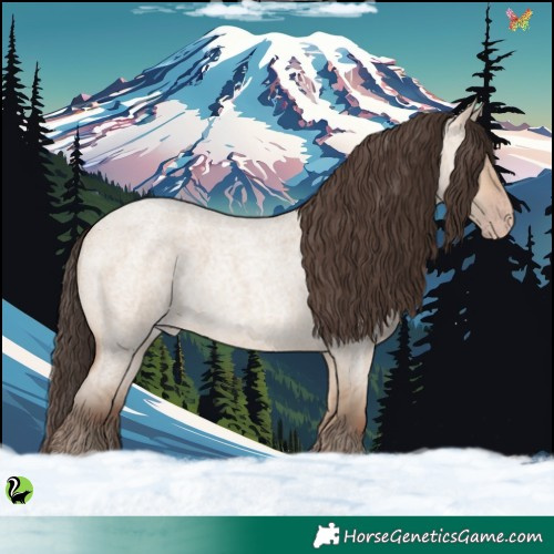 Horse Color:Amber Champagne Roan Dun 