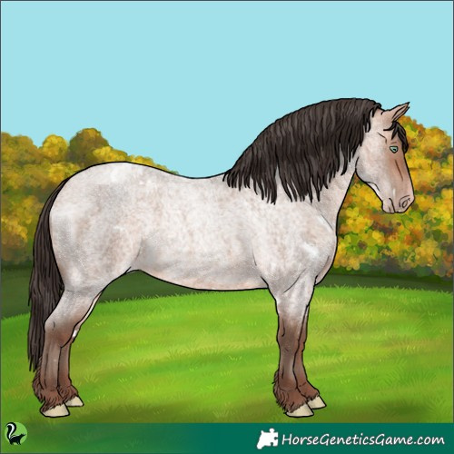 Horse Color:White Spotted Amber Champagne Roan 