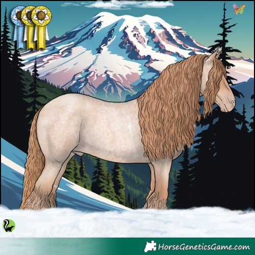 Horse Color:Gold Champagne Roan Sabino 