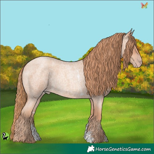 Horse Color:Gold Champagne Roan Sabino 