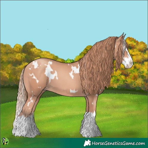 Horse Color:White Spotted Gold Champagne Splash