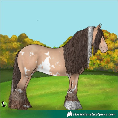 Horse Color:White Spotted Amber Champagne 