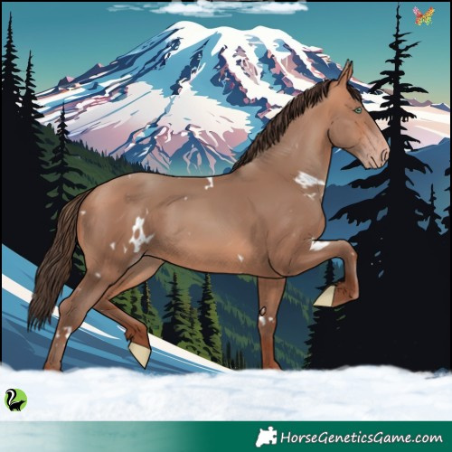 Horse Color:White Spotted Amber Champagne 