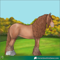Horse Color:Gold Champagne 