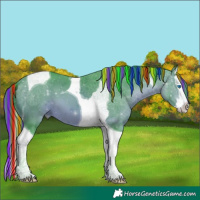 Horse Color:Painted Watercolor Bay Splash Tobiano 