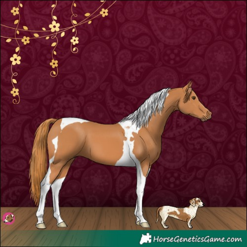 Horse Color:Chestnut Tobiano 