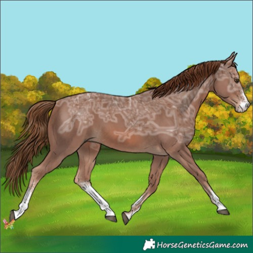 Horse Color:Chestnut Ice Sabino 