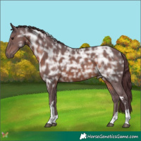 Horse Color:Chocolate Brown Ice Tobiano 