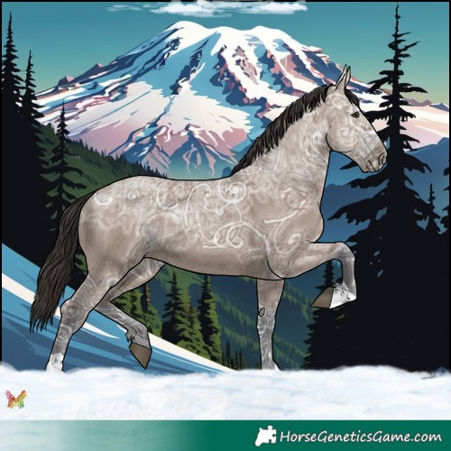 Horse Color:Liver Red Dun Ice Tobiano 